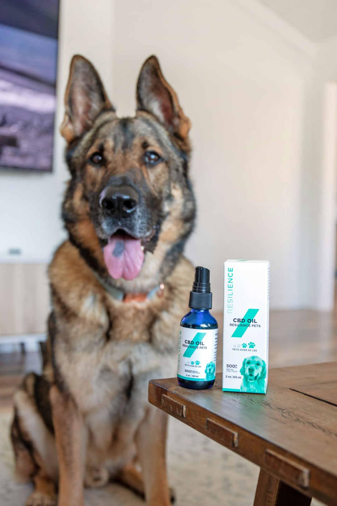 our-services-2 Happy dog sitting next to its Resilience CBD oil.